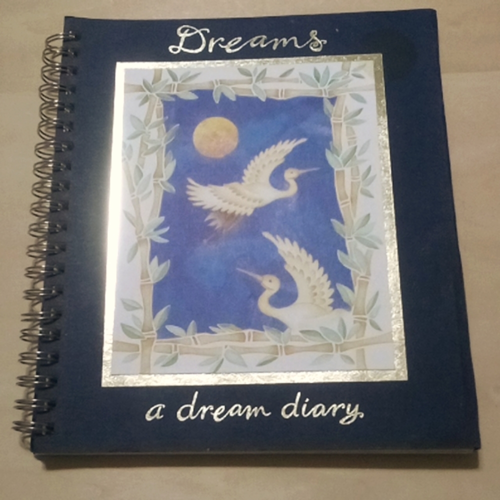 Dream Diary